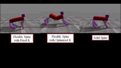 The Importance of a Flexible Spine in a Quadruped Robot