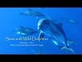 イルカの川にふたをされ ~DolphinSwim in Ogasawara~