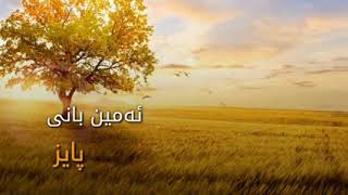 Amin Bani Paiz ٸەمین بانی پایز واتا خەمێکی تر Resimi