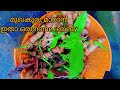 മുഖകുരു മാറാൻ മഞ്ഞൾ മതി 🌿 A day in my life