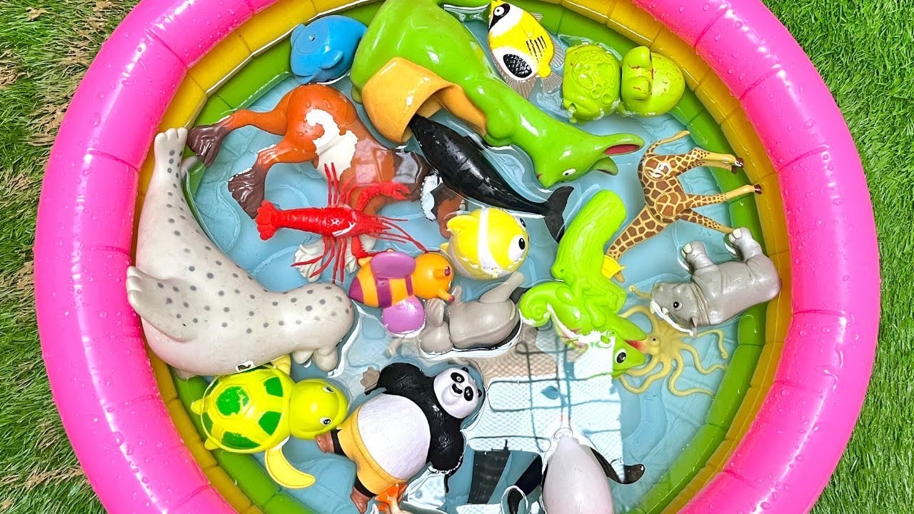 splash & learn sea animals learning | ocean animals & toy fun for toddlers