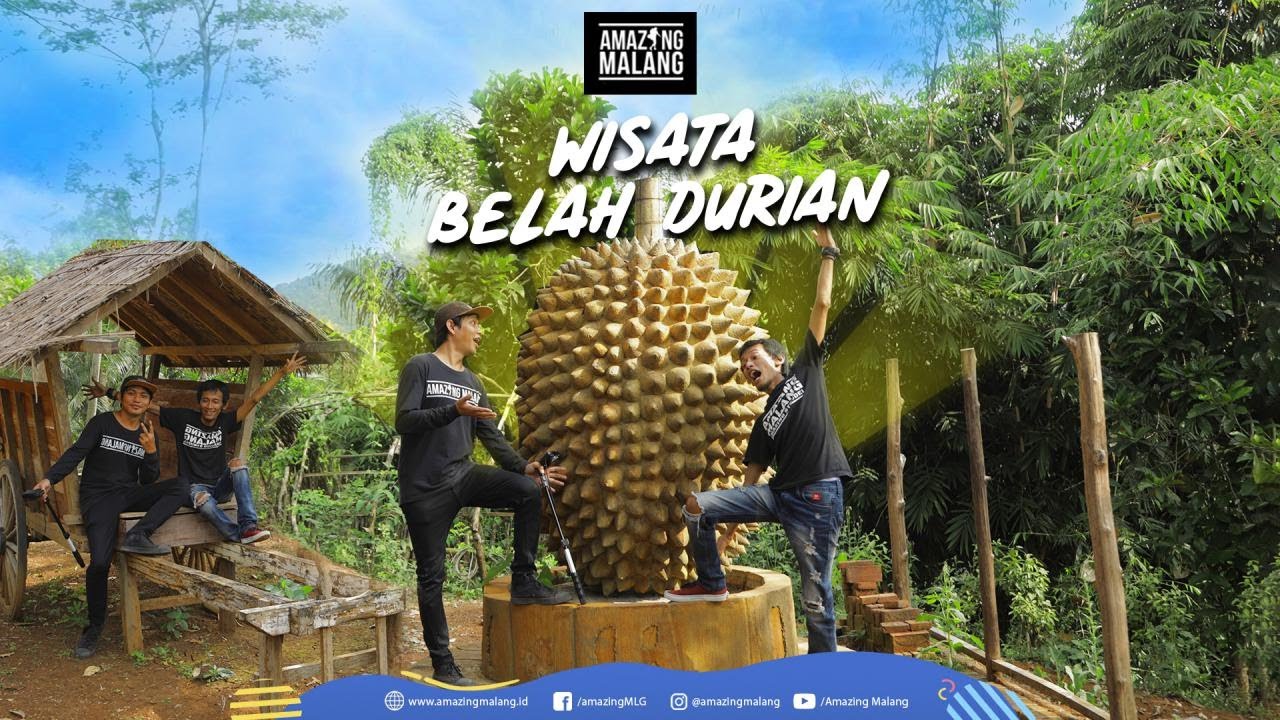 Wisata Belah Durian Kasembon Kab Malang