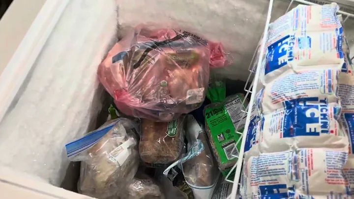 Review of Insignia Chest Freezer