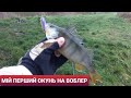 МІЙ ПЕРШИЙ ОКУНЬ НА ВОБЛЕР JACKALL SQUAD MINNOW 65sp|ЛОВЛЯ ЩУКИ І ОКУНЯ НА МІКРОДЖИГ