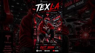 Tesla Rap Song?? 🎤 #teslamusic