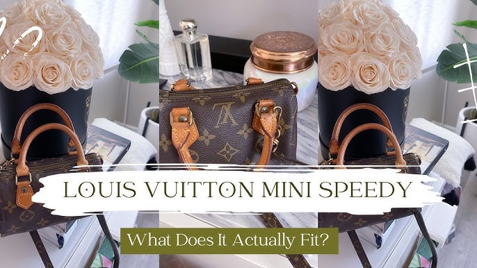 Personal Project - Louis Vuitton Mini Speedy – Urban Bling
