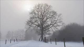 'Tu refugio' - Reflexión cristiana