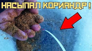 ОНА ПОДОШЛА СРАЗУ! Опустил мормышку и ПОПЁРЛО! Плотва клюёт КРАСИВО! Рыбалка 2023