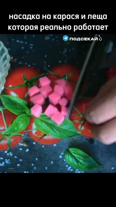 Рыбаки на водоеме были в шоке #насадка #рецепт #рыбалка - YouTube