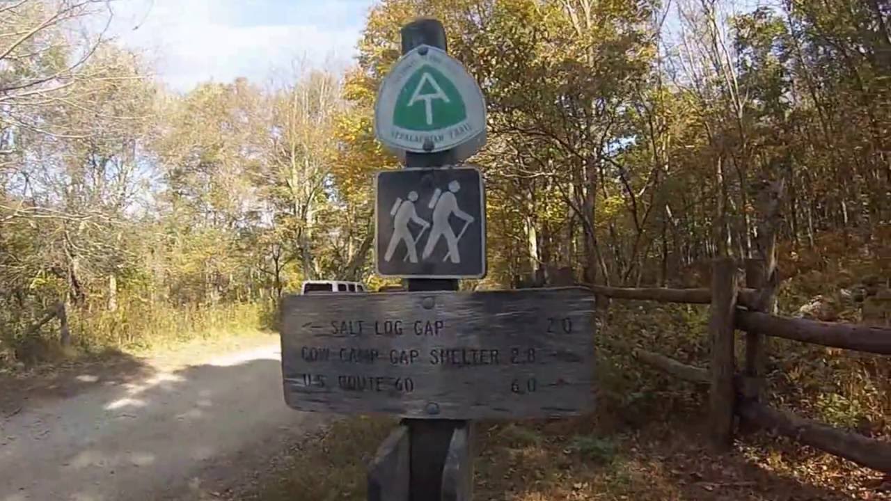 Cold mt to Hog Camp Gap