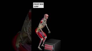 Different Box Jumps Variations