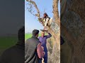 عجیب دھوکا فنی ویڈیو