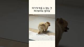 이거눈 송이꺼가 아니래요🐥
