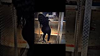 Others Gun Shooting Vs Pro Guy