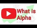 What is alpha  alpha finance  portfolio alpha