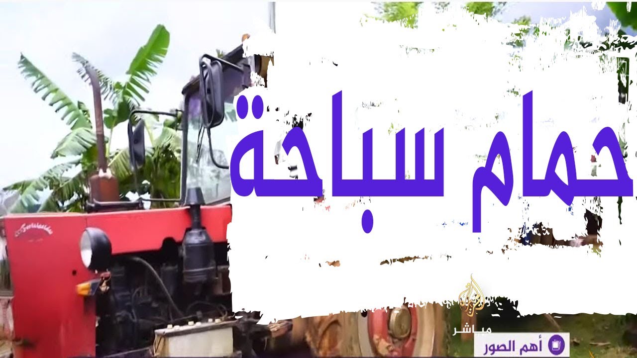 حمام سباحة متنقل للتغلب على الطقس الحار في كوبا