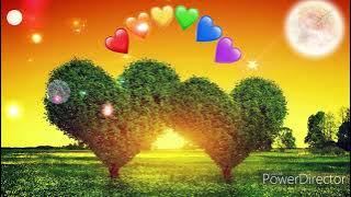 Želim ti laku noć, 💤💖😴💖