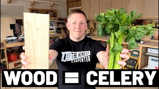 What CELERY Can Teach You About WOOD...A Beginners Guide To Carpentry And Woodworking! by The Honest Carpenter 53,010 views 1 year ago 8 minutes, 24 seconds