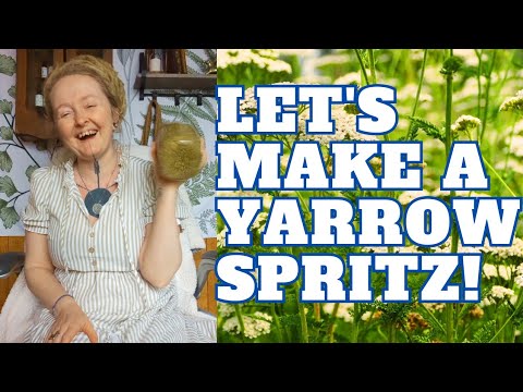 Let's make an easy Yarrow spritz for acne, hemorrhoids, wound care, & more!