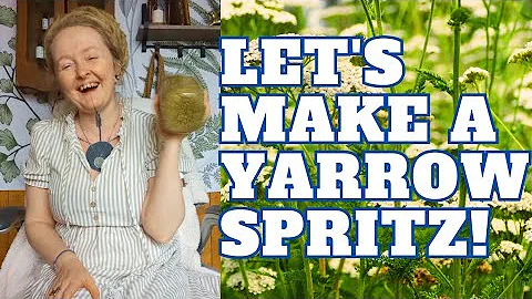 Let's make an easy Yarrow spritz for acne, hemorrhoids, wound care, & more!