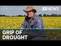 Australian drought continues despite recent rains, as coronavirus dries up donations | ABC News