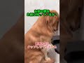 お前の罪をお前は知っているか？