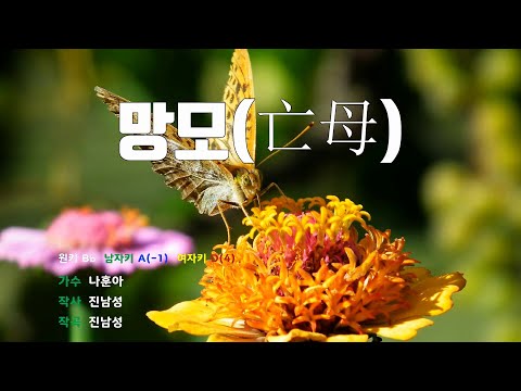 [은성 반주기] 망모(亡母) - 나훈아
