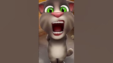 Mèo tom hát ba thương con