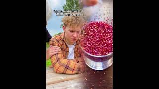 Hey Hoi Drop Je Slechtste Mop In De Comments Wij Liken De Grappigste