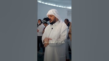 يا أيها الناس أذكروا نعمت الله عليكم || الشيخ هيثم الدخين #تلاوة_خاشعة #اكسبلور
