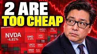 Information AI Stocks Are Crashing — Here’s What I’d Buy Update