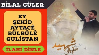 BİLAL GÜLER | Ey Şehid Aytacê Bülbülê Gulistan Resimi