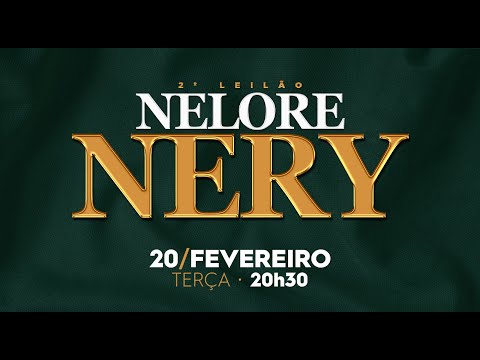 Lote 1008 (Athenas FIV Nery - NERY 21)