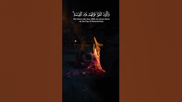 زين للذين كفروا الحياة الدنيا، سورة البقرة، الشيخ بدر التركي، قرآن ٣٠ ثانية