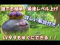 ドラクエ11解説【誰でも簡単！最速レベル上げ！！LV９９もすぐできる】