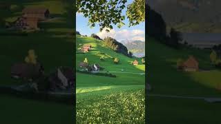 Beauty Of Nature shorts switzerland nature