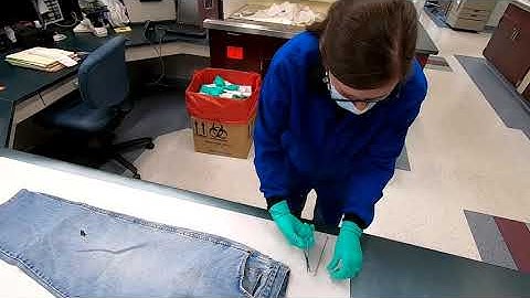 TBI Virtual TBI Lab Tour | Forensic Biology