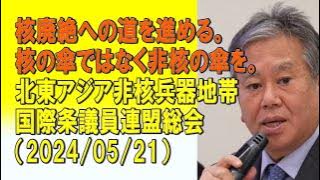 核廃絶への道を進める。核の傘ではなく非核の傘を。北東アジア非核兵器地帯国際条約議員連盟総会（2024/05/21）