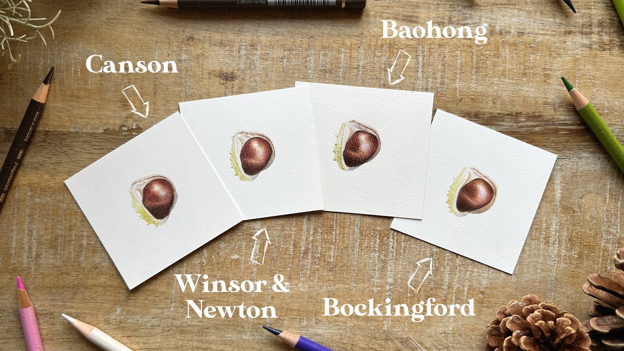 Testing 4 Hot Pressed Watercolour Papers | Mini Horse Chestnut Conker Tutorial