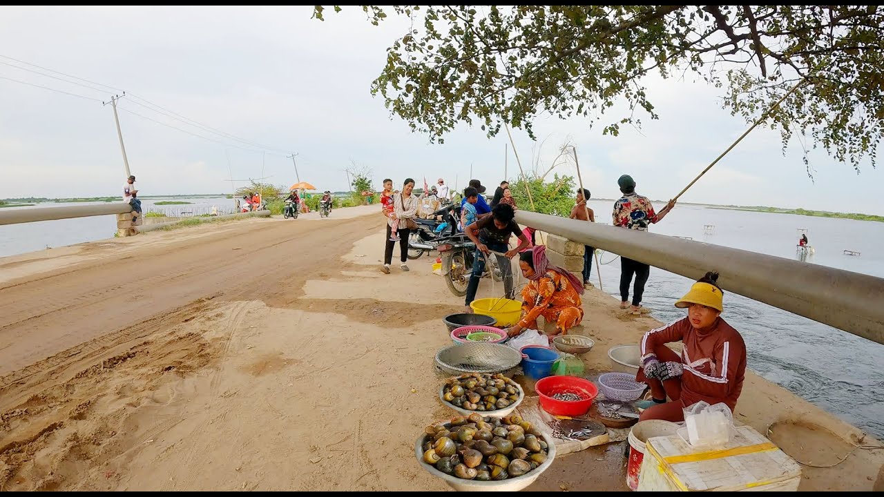 Cambodia’s Best Street Food Compilation, Traditional Net Fishing, Countryside Market Tour, & More