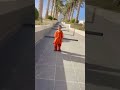 🌴🫶🏻🇶🇦 #trending #viral #youtubeshorts #travel #qatar #reels  #youtube #shorts