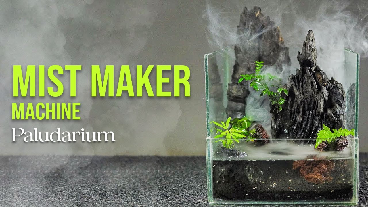 Making Foggy Paludarium with Mist Maker - YouTube