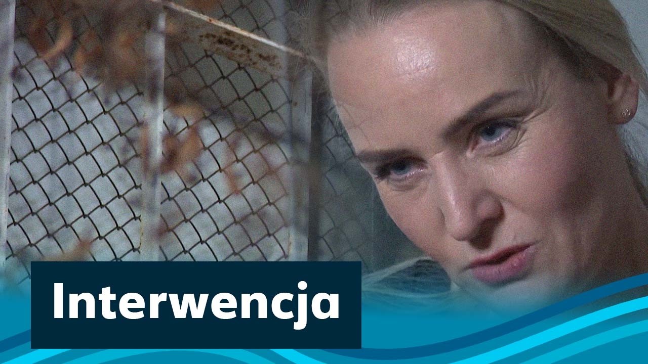 Dramat Polki z trojgiem dzieci. Została osadzona wśród kryminalistek