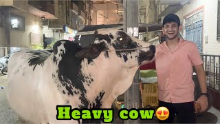 Finally cow leli 😍 itni expensive mil rahi thi😮