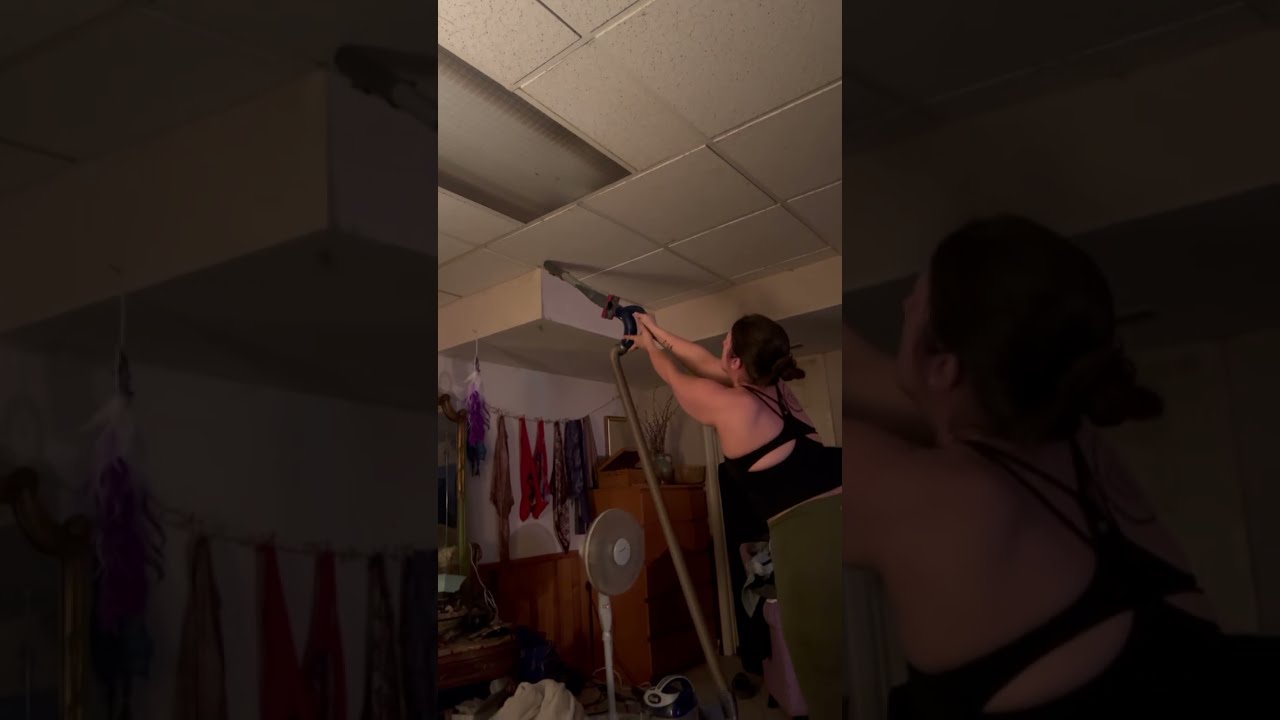 Woman Tries To Vacuum Spider But Misses