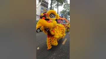 Đoàn Tinh Anh Đường Diễu hành rước Nghĩnh Ông Quận Thánh Đế Quân sáng Mùng 12 tết