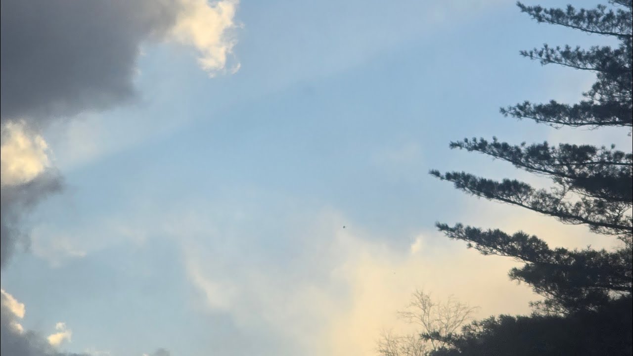 Dear my wildest skyroof 