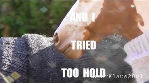 MEP-Part 2//Control//an Professor_Horse#