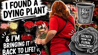 Full How Many Plants Is One Too Many Update