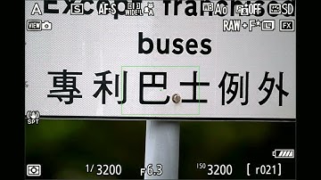 Nikon Z 800mm f/6.3 VR S  AF Speed Test（AF-S）